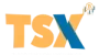 tsx logo