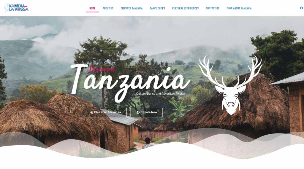 samir artwork web design .jpg