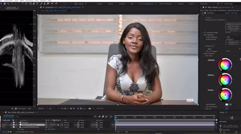 samir artwork video editing services